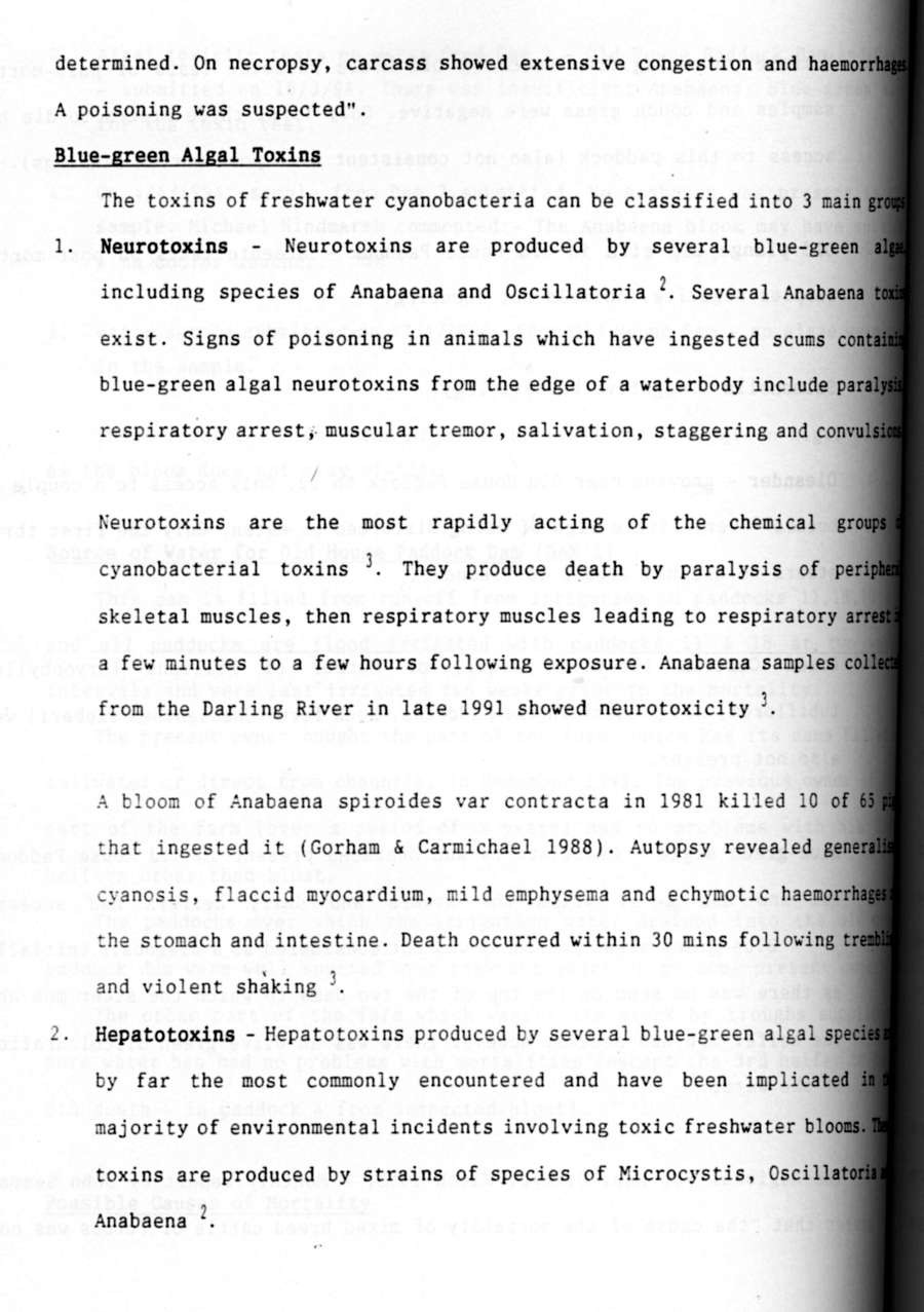 1994 Page 137